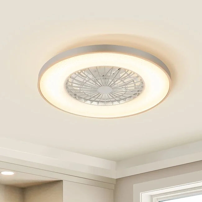 Modern Smart Ceiling Fan with LED Light