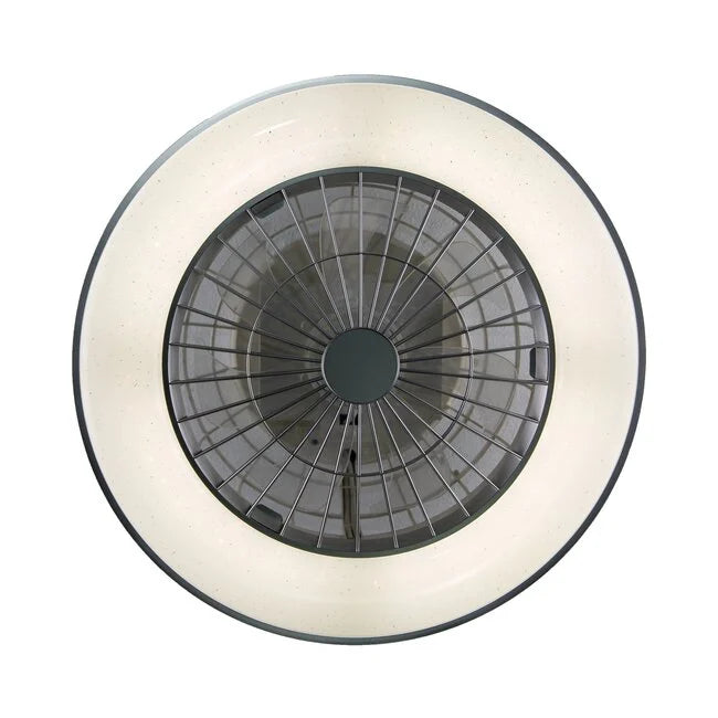 Modern Smart Ceiling Fan with LED Light